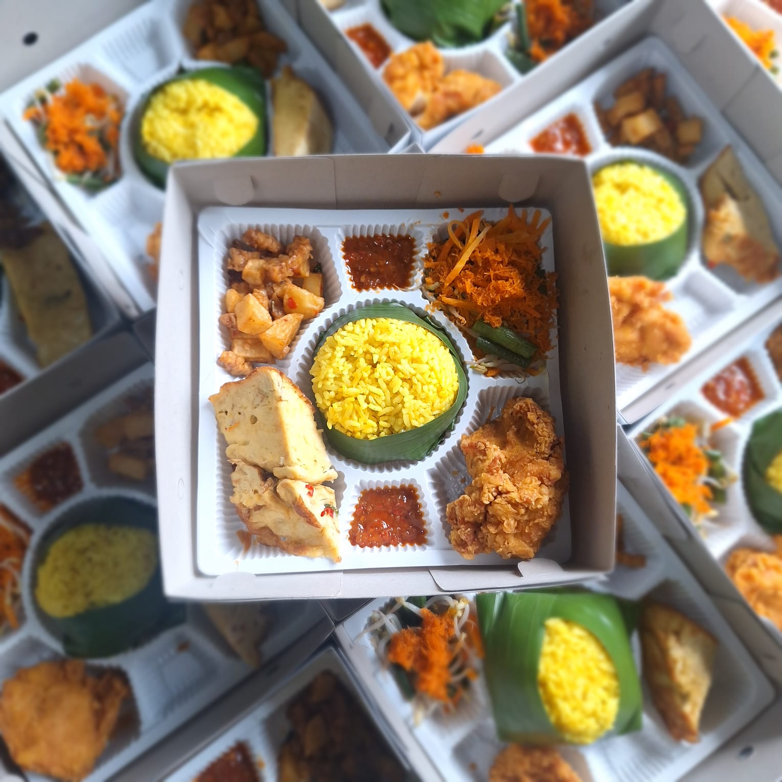 Nasi box 1 Amina Berkah