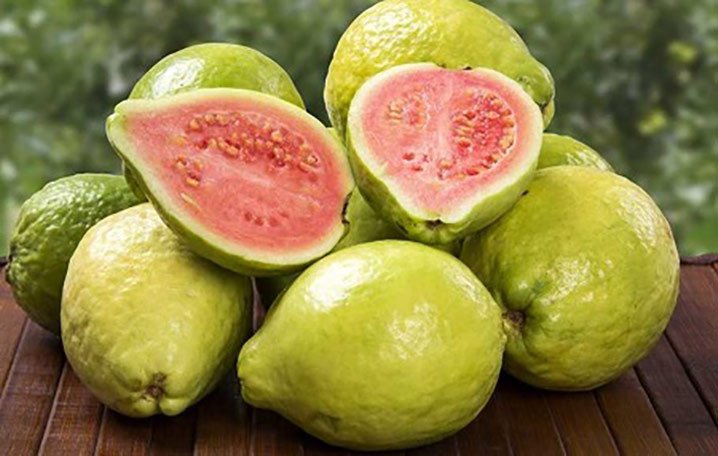 Jambu biji merah