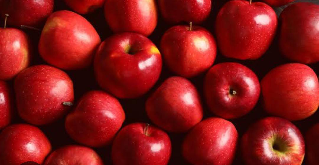 Buah Apel 1