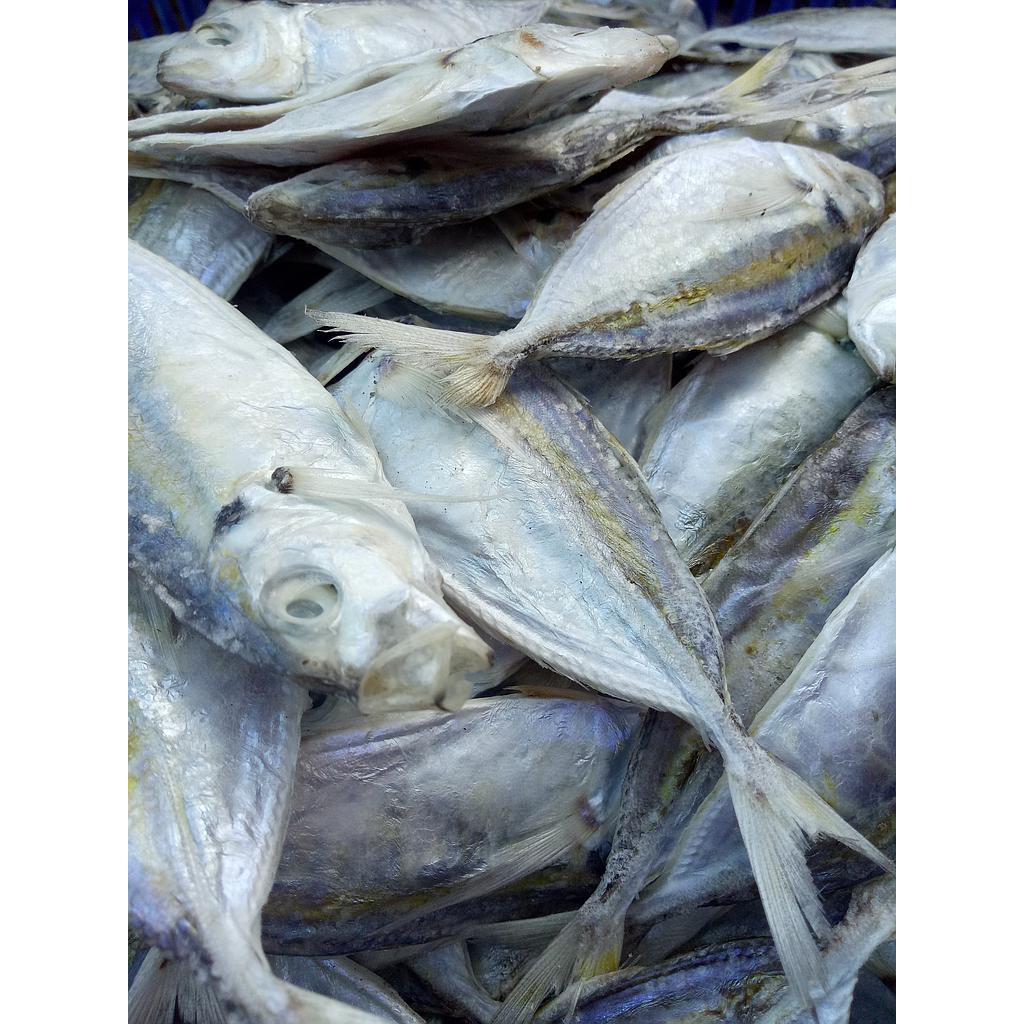 Ikan Selar Asin