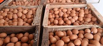 Telur 1 kg