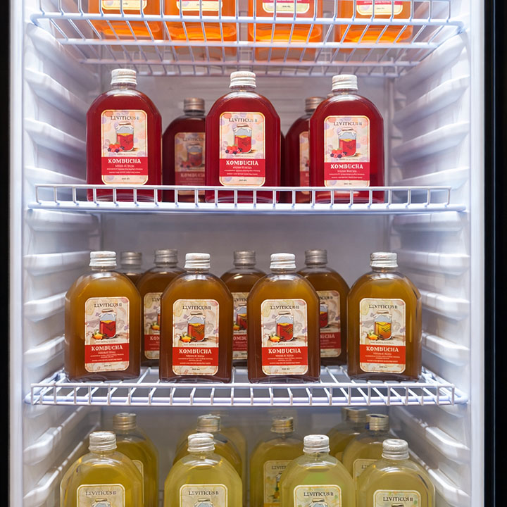 Minuman Kesehatan Kombucha 250ml (Minuman Probiotik)