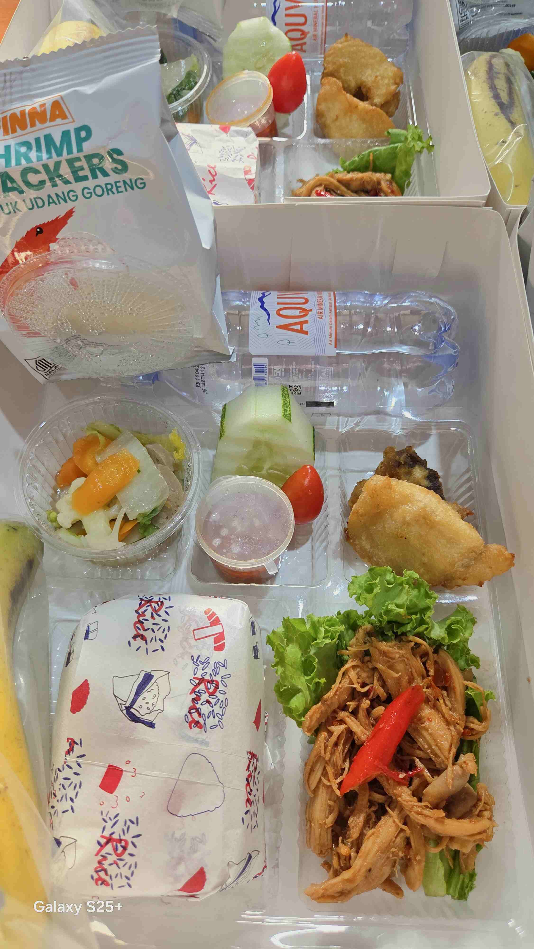 Nasi Box 2