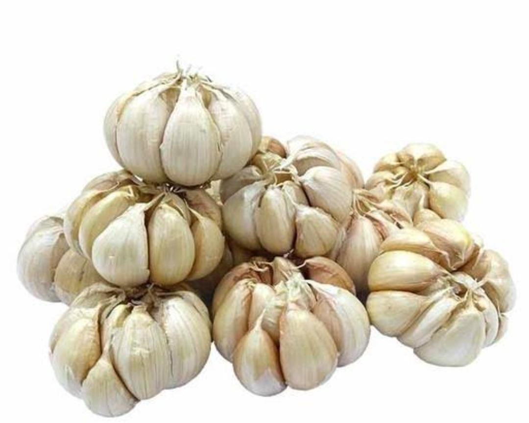 Bawang Putih
