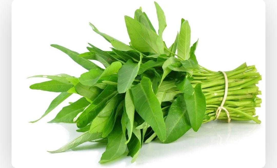 Kangkung
