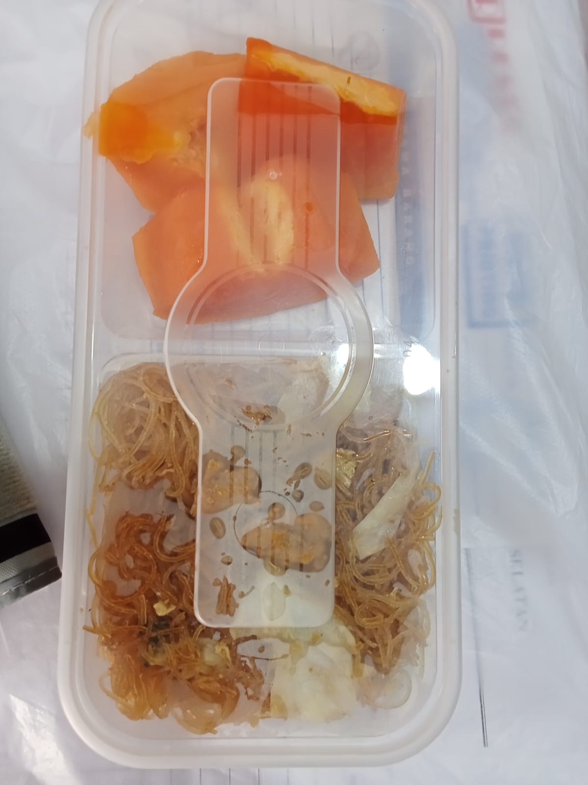 Bihun Goreng Ayam Sayur dan Pepaya