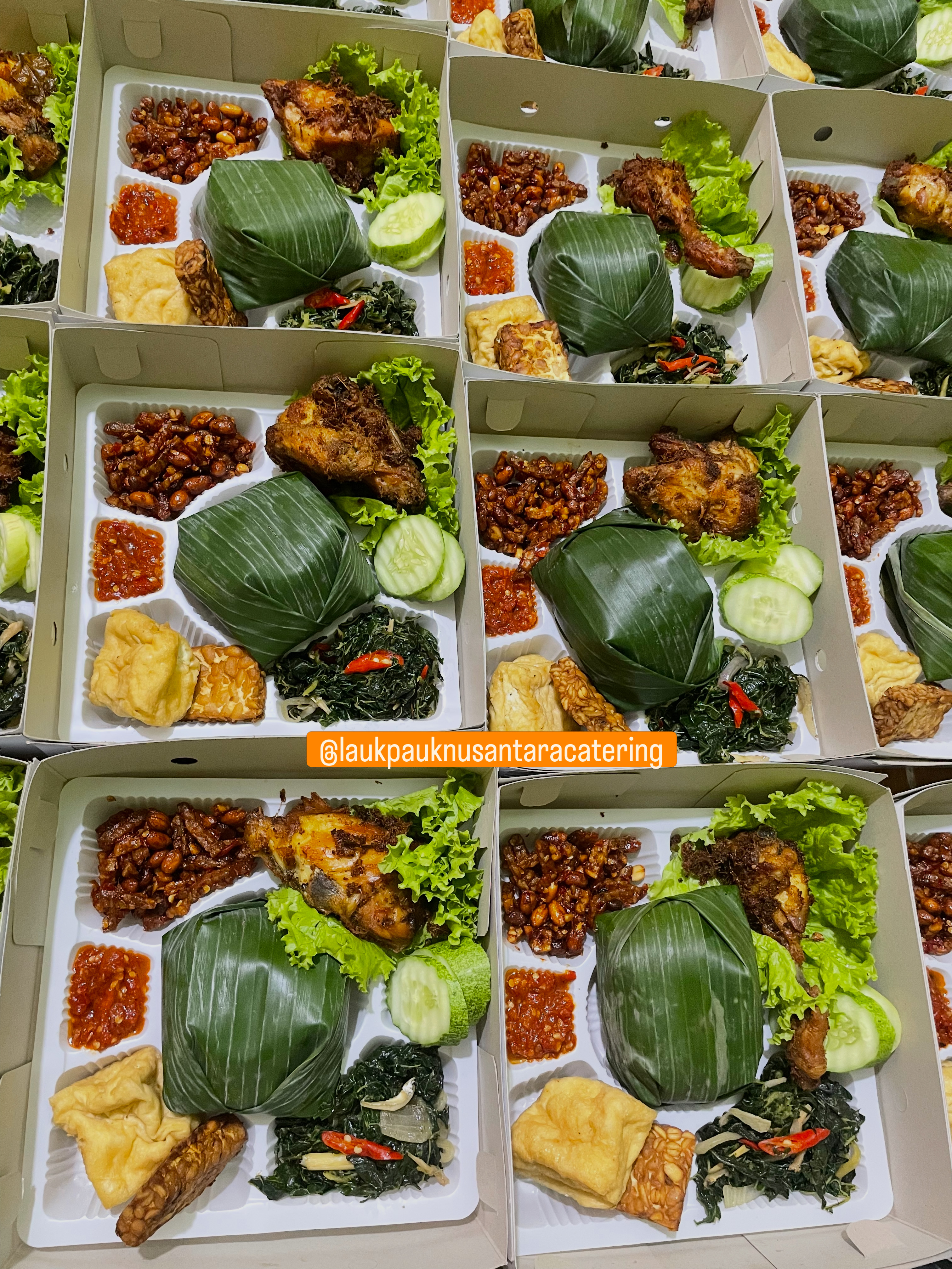 Nasi Box Liwet LPN 2