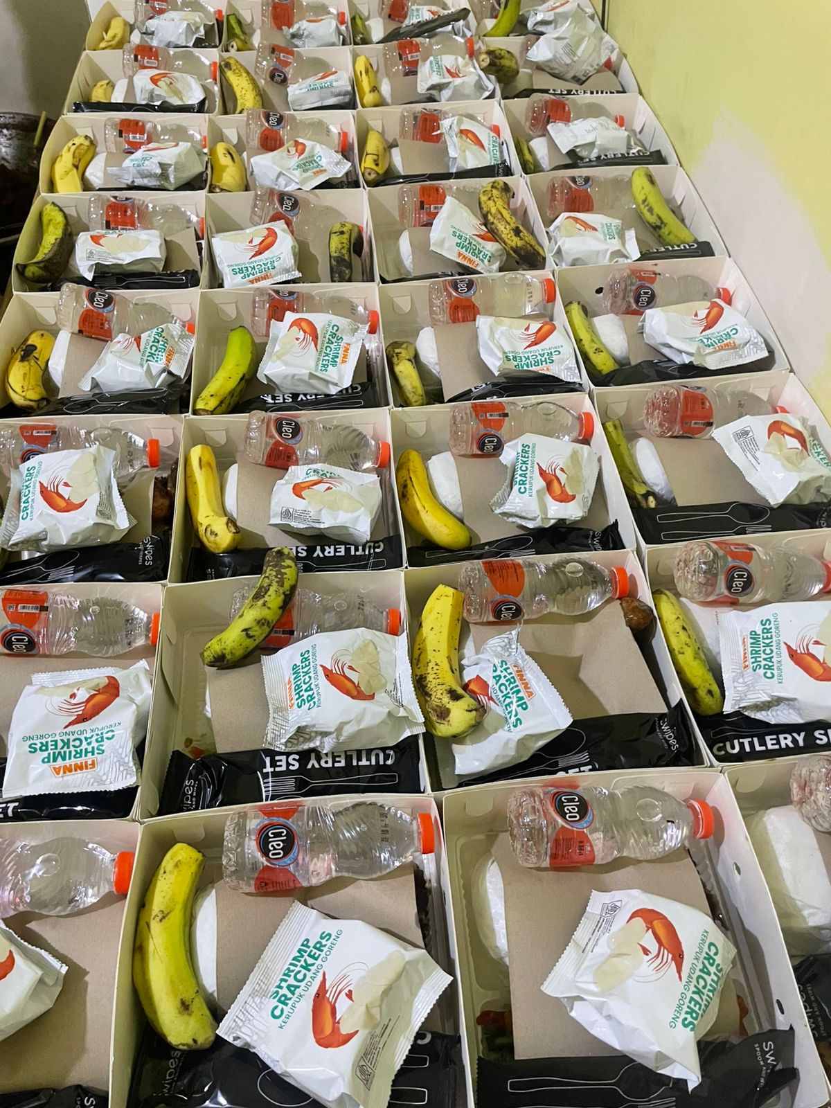 Nasi Box Liwet LPN 2