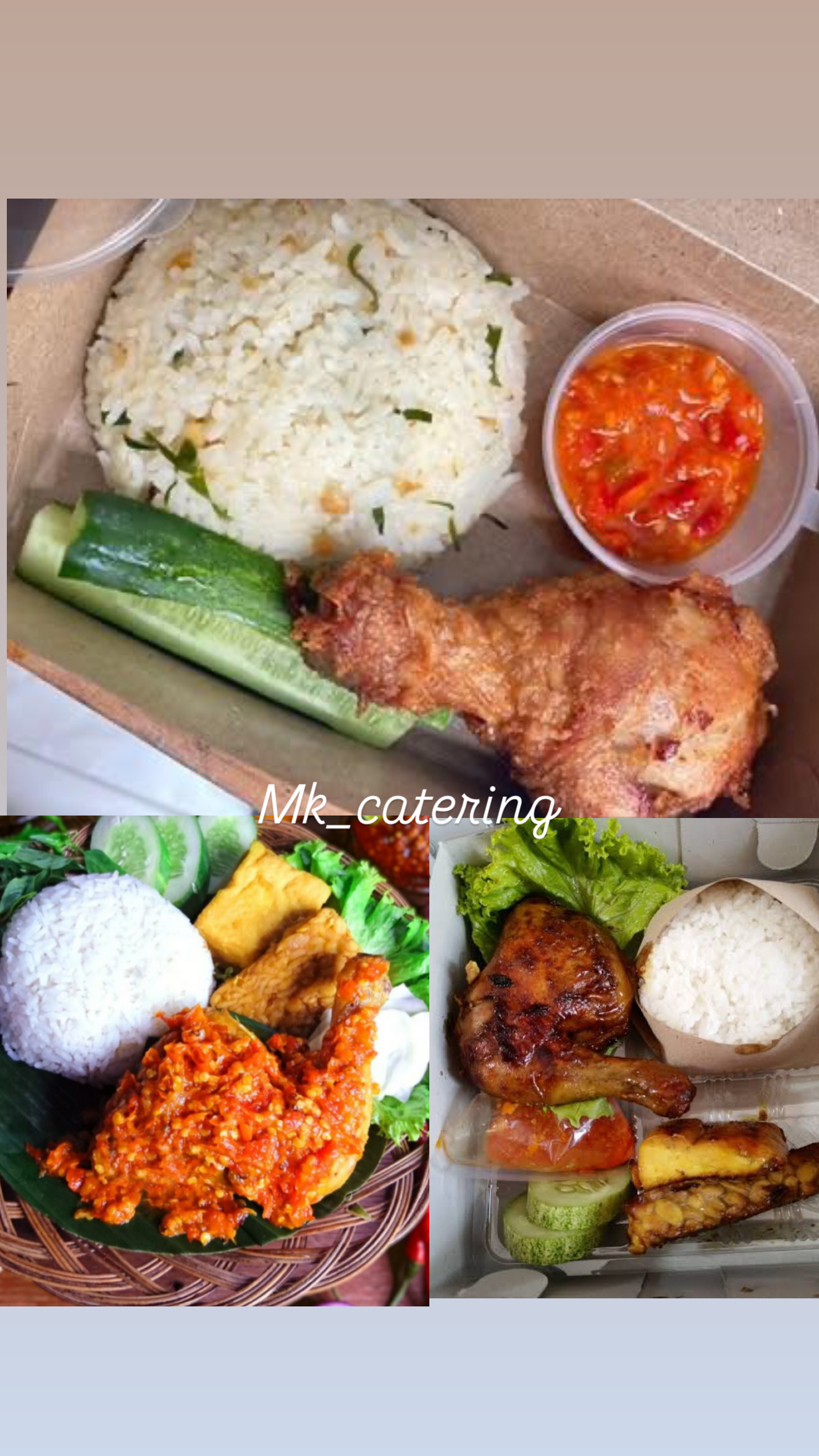 Nasi box Ayam