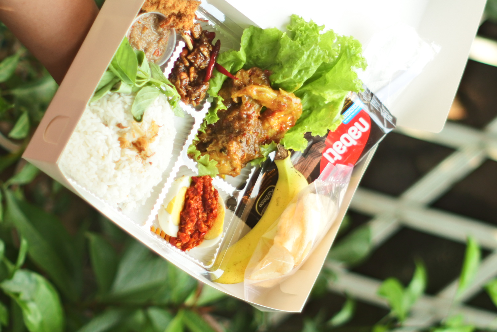 Lunch Box Ayam Rica + Telur balado