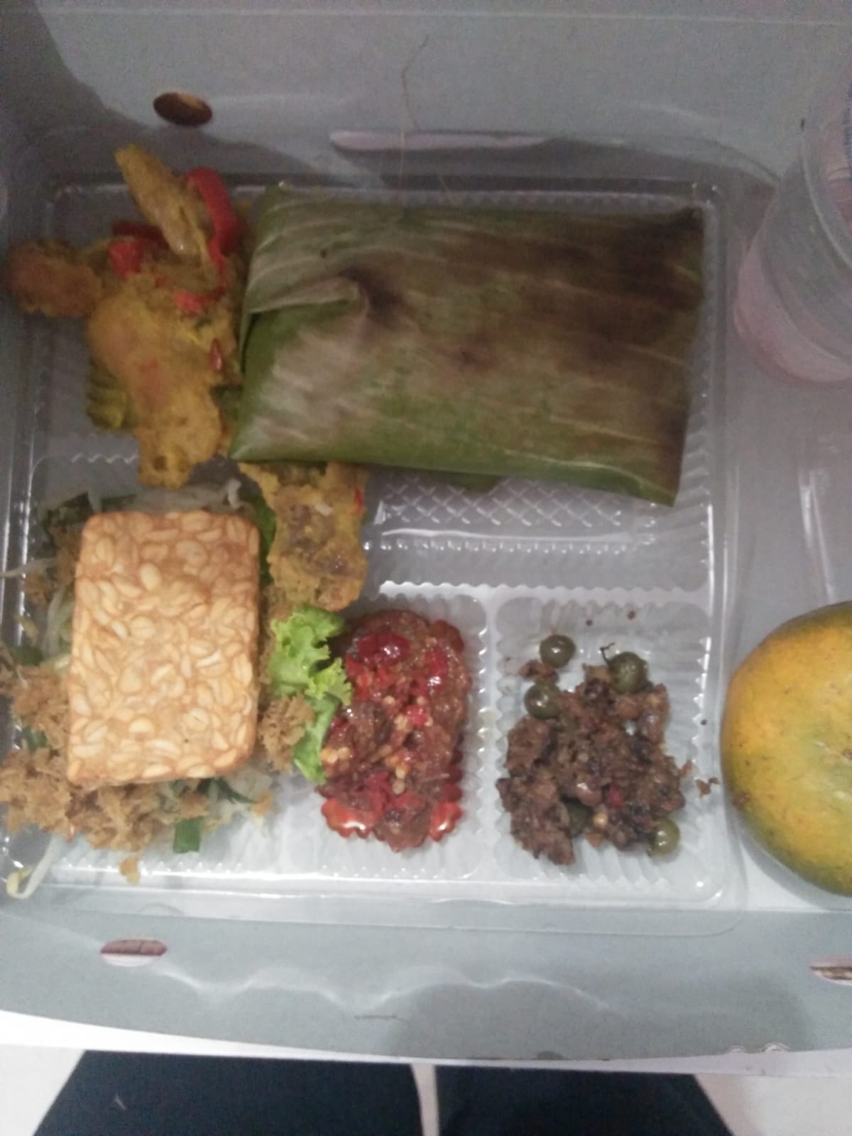 Nasi Box Type B