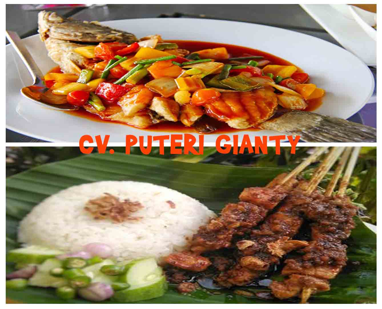 Modern Food Paket 4