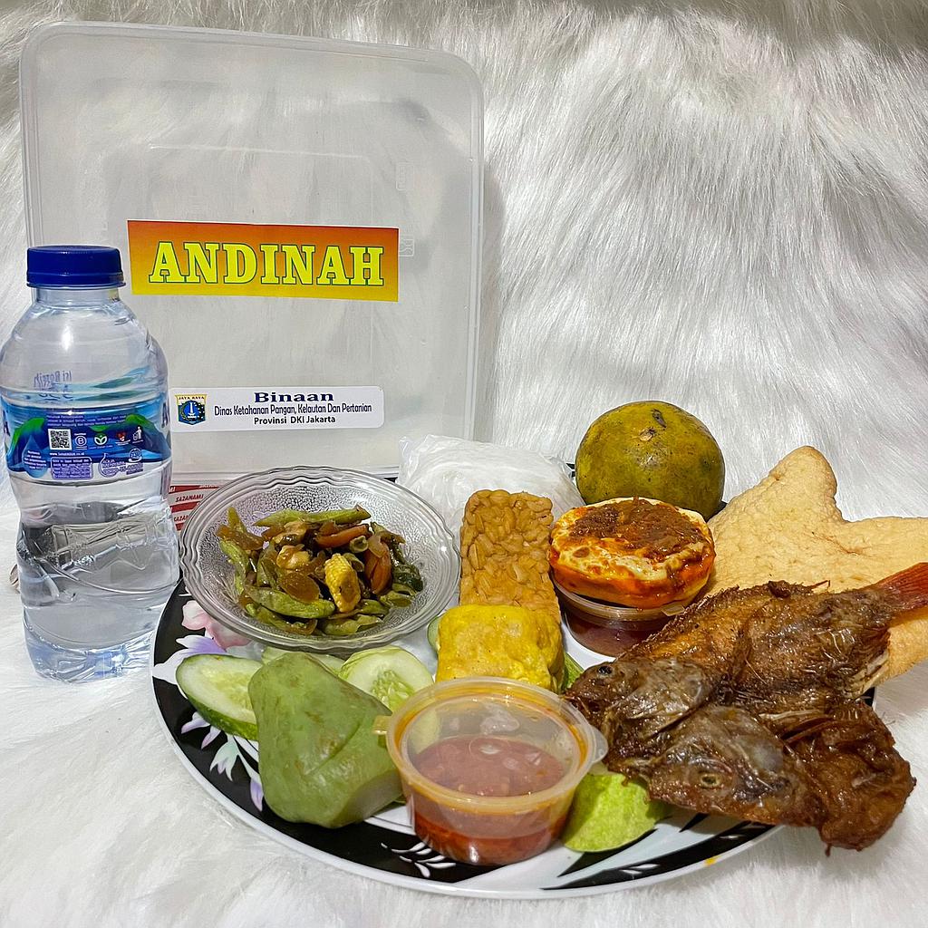 ANDINAH Paket komplit A