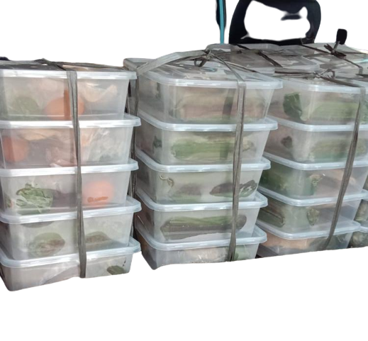 PAKET A NASI BOX