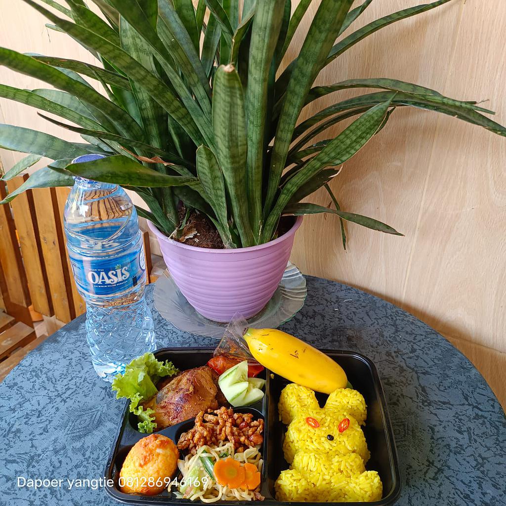 Yangtie NasBox Bento