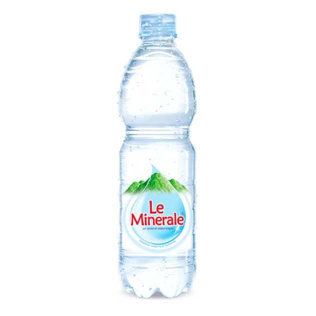 le minerale uk 600 Ml