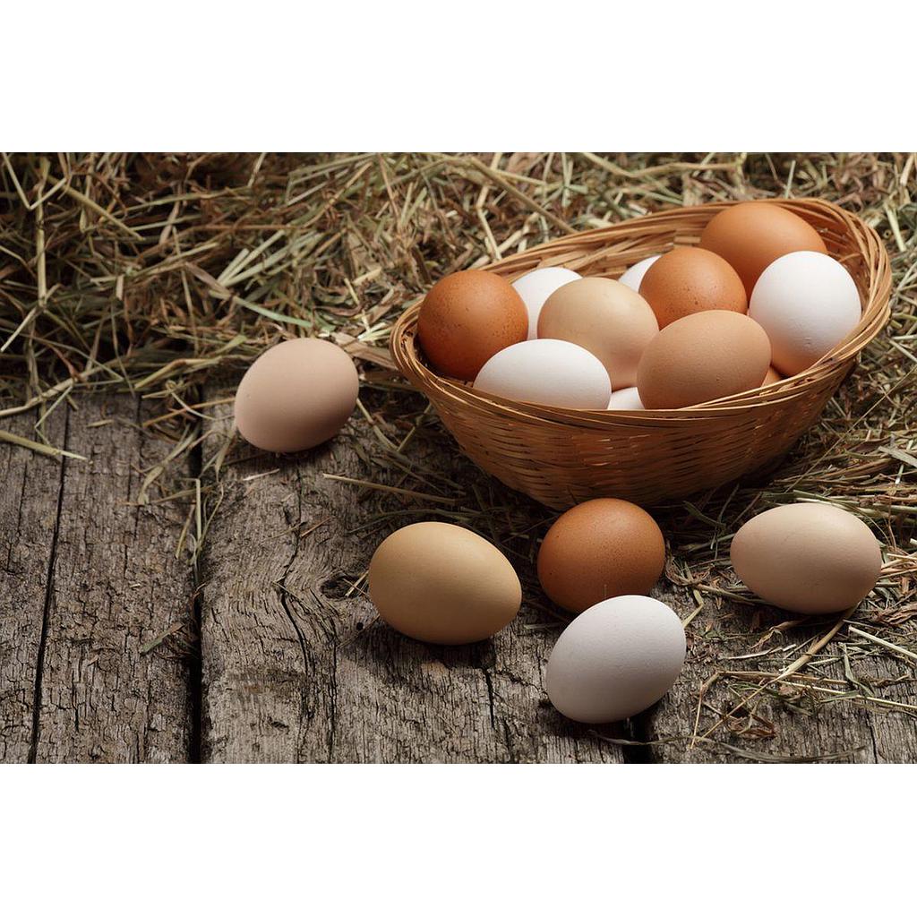 Telur Ayam Negeri Siap Saji