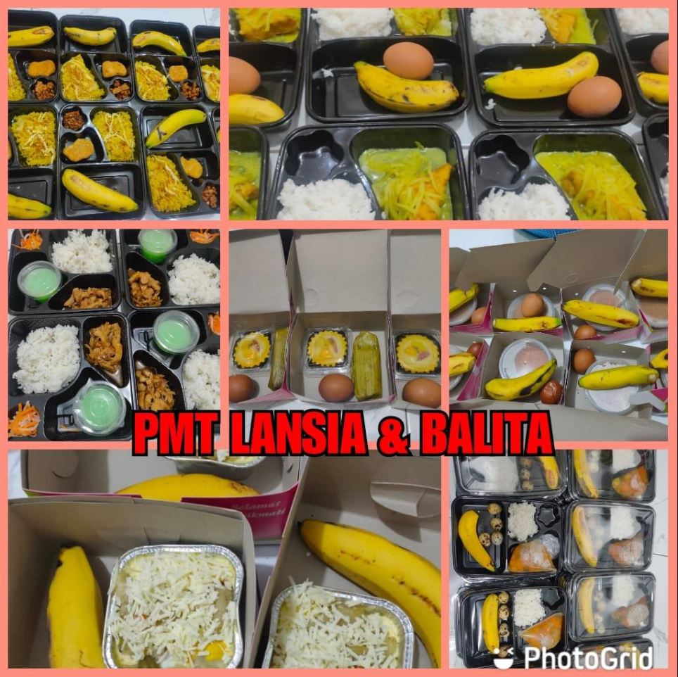 PMT Balita dan Lansia Tulip II