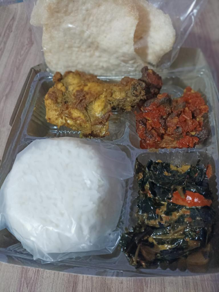 Nasi Box 1