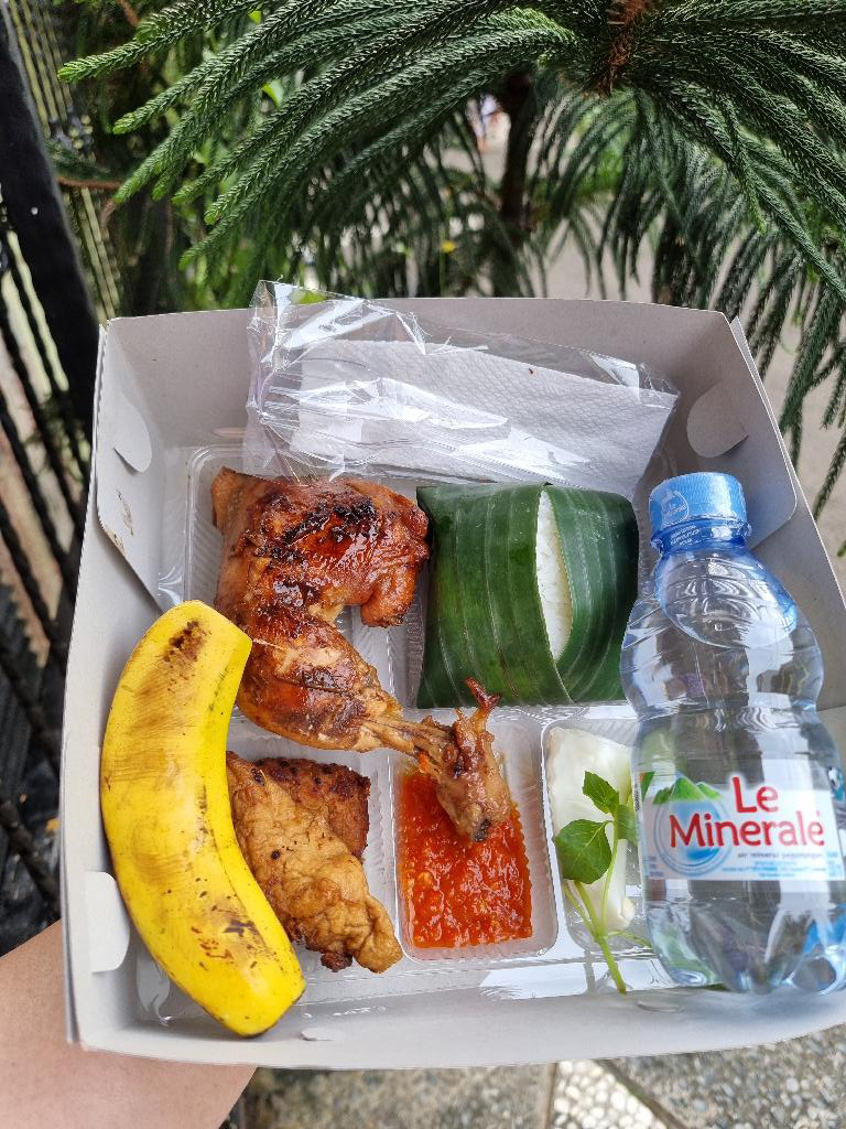 Paket Nasi Box D