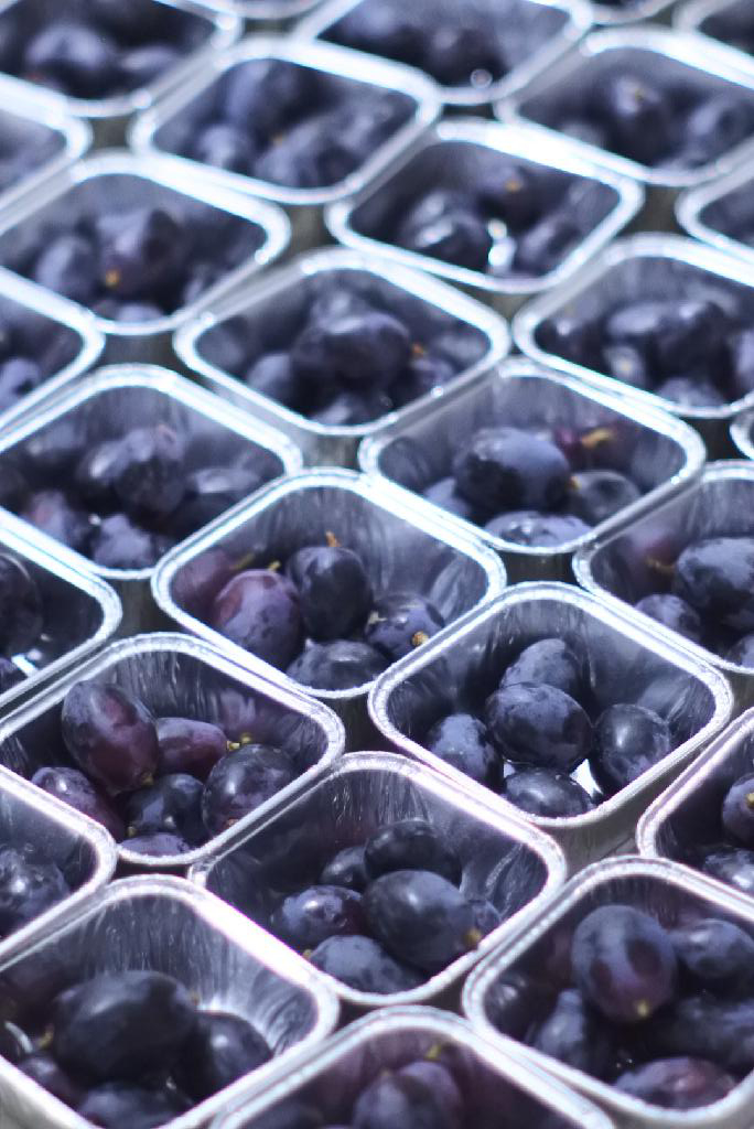 Snack VIP Platinum SOE RECIPE