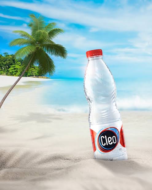 Air Cleo Botol 600ml/24pcs