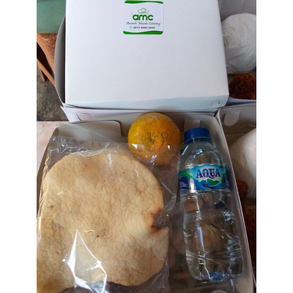 Nasi box paket 125 orang