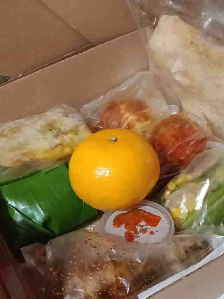 Nasi Box Viani