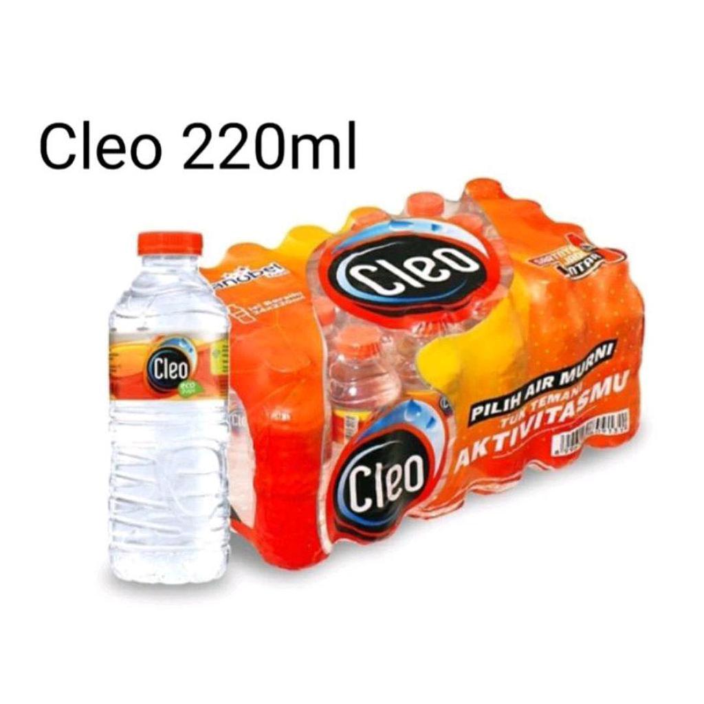 Air Mineral 220 ml Super Mini 