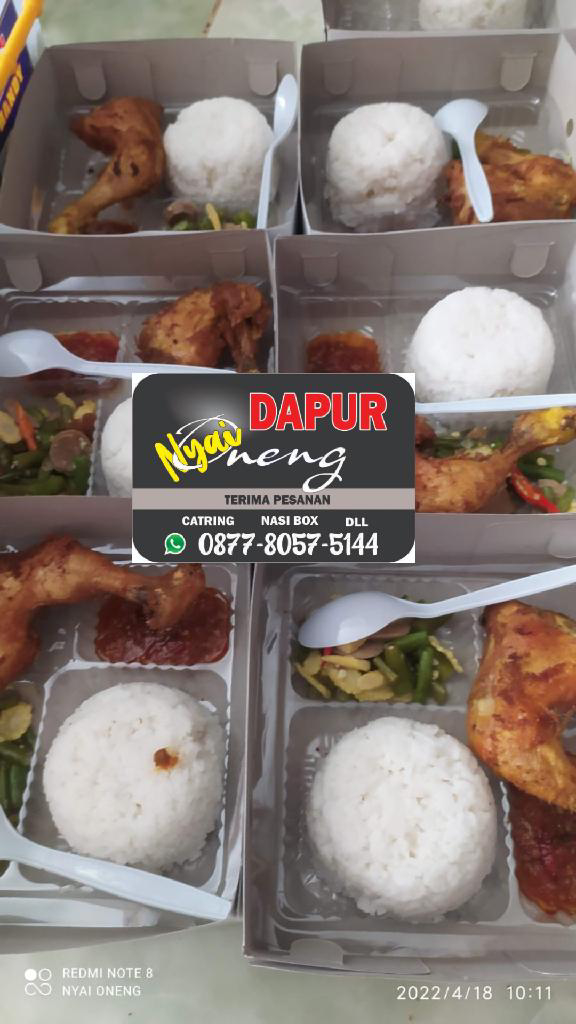 Nasi Box - Dapur Nyai Oneng