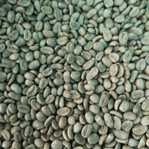 Biji Kopi Arabica