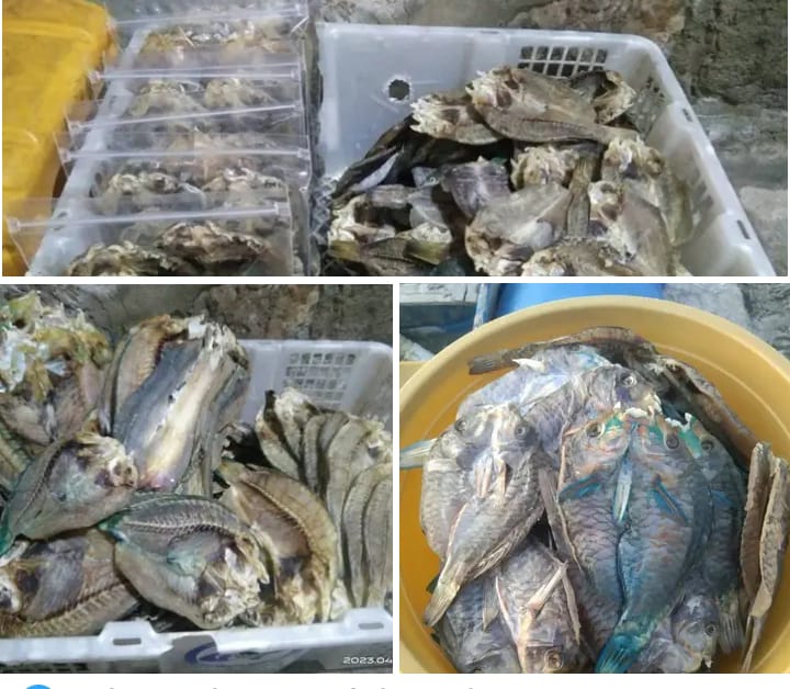 Ikan Asin Belaan Hasil Laut