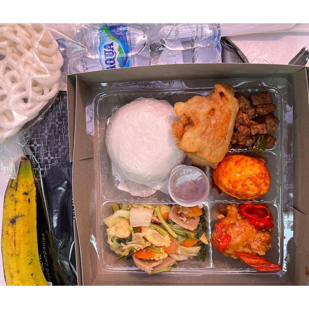 ANEKA NASI BOX