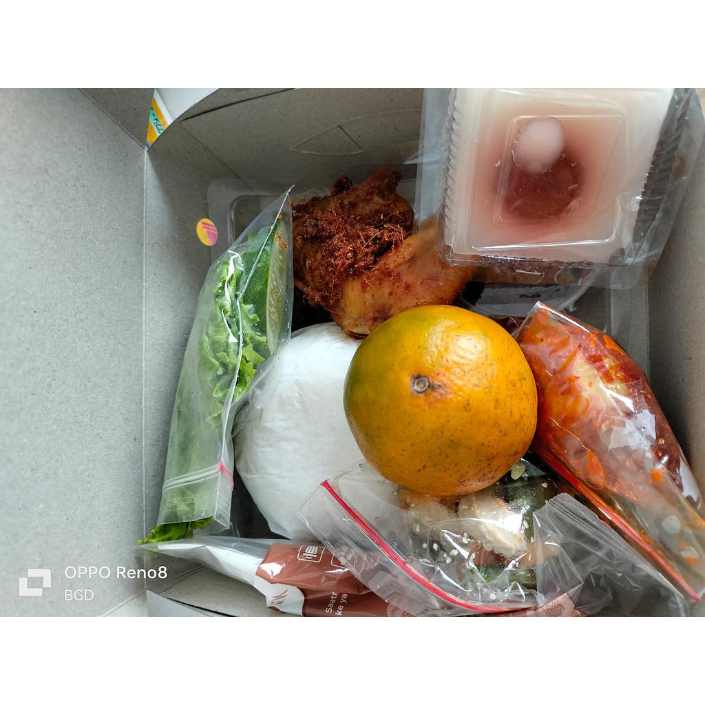 Paket Nasi Box BGD 1