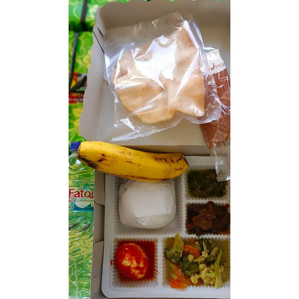 Nasi Box Rafa