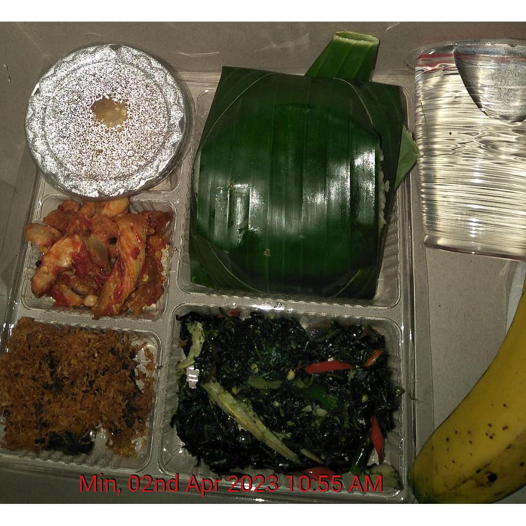 Nasi Box (Sari's Catering)
