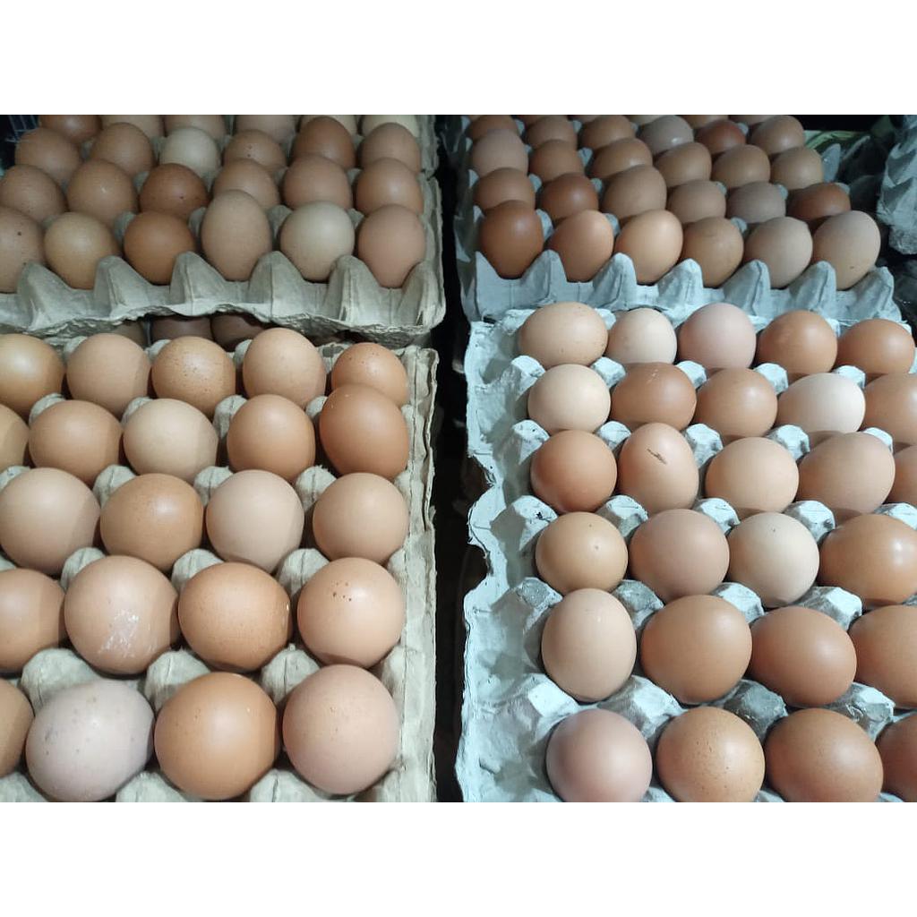 Telur Ayam Negeri