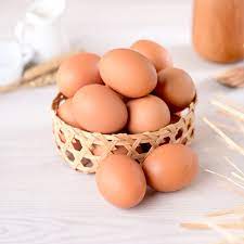 Telur Ayam