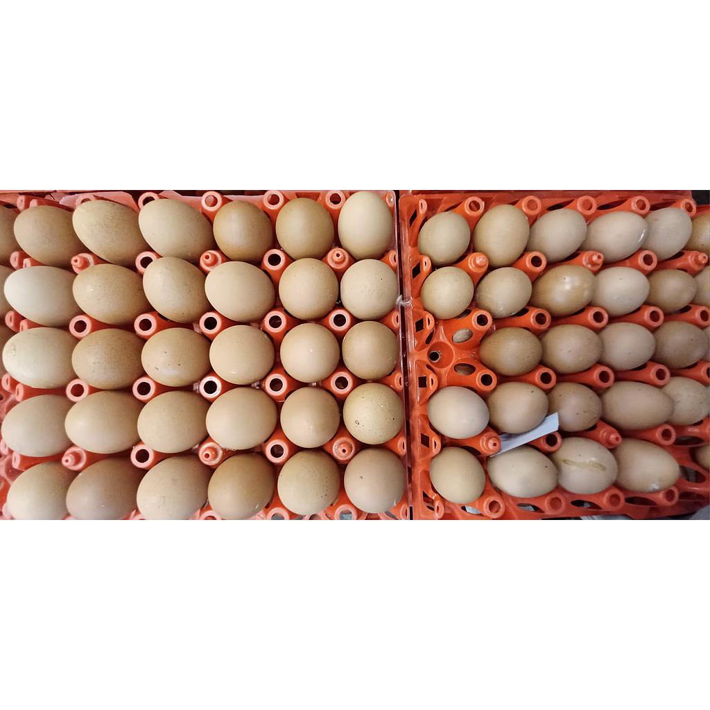 Telur Ayam 1 kg