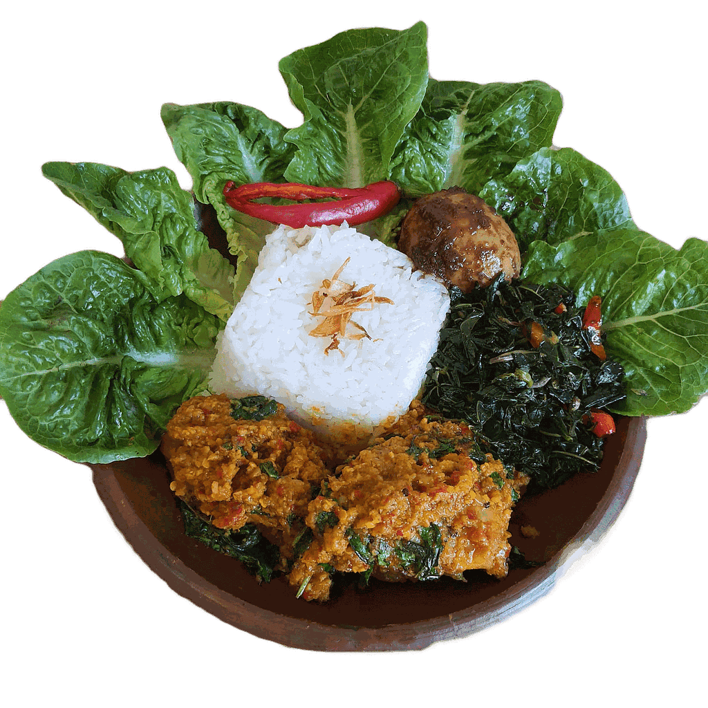 PAKET NASI AYAM