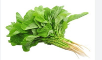 Bayam