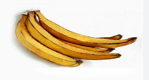 Pisang Tanduk