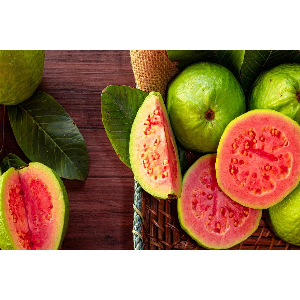 JAMBU BIJI MERAH