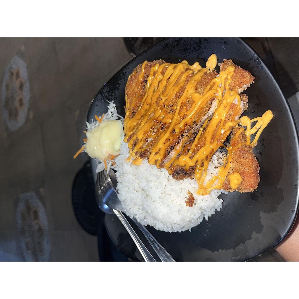 nasi kotak