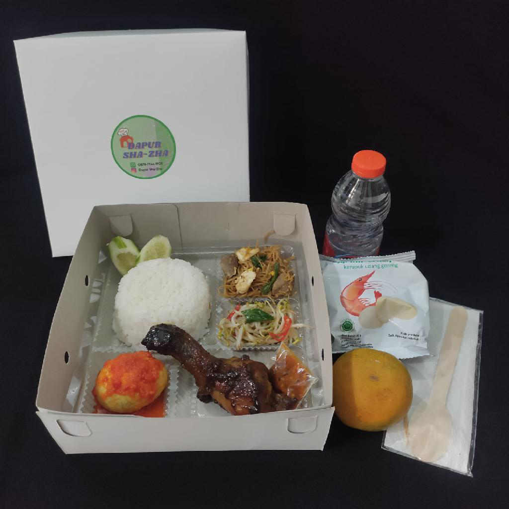Nasi kotak DSZ 1