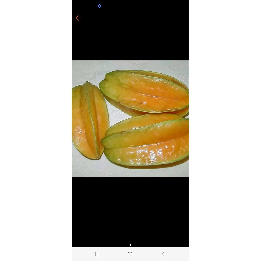 Belimbing