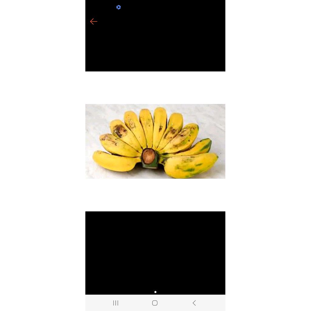 Pisang kepok