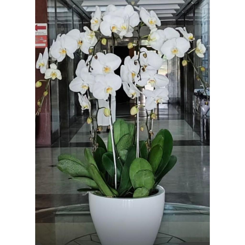 Rangkaian Bunga Anggrek 4 Tangkai SUNLY FLORIST