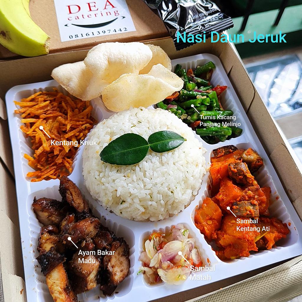 Nasi Box 2 Dea Catering