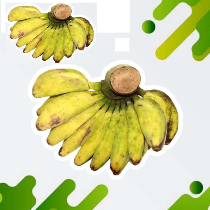 PISANG KEPOK